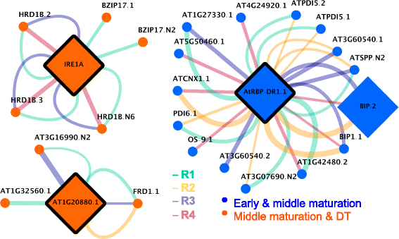 Fig. 6