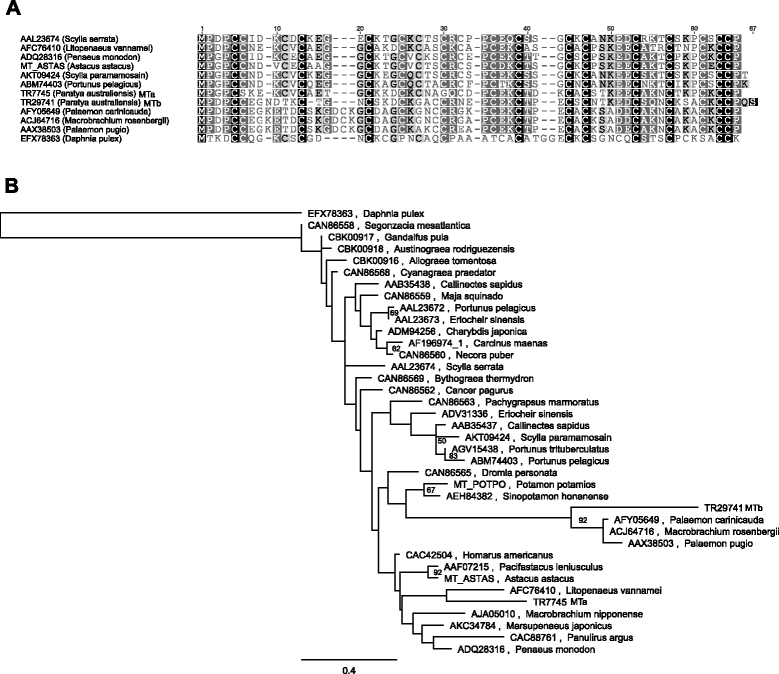 Fig. 6