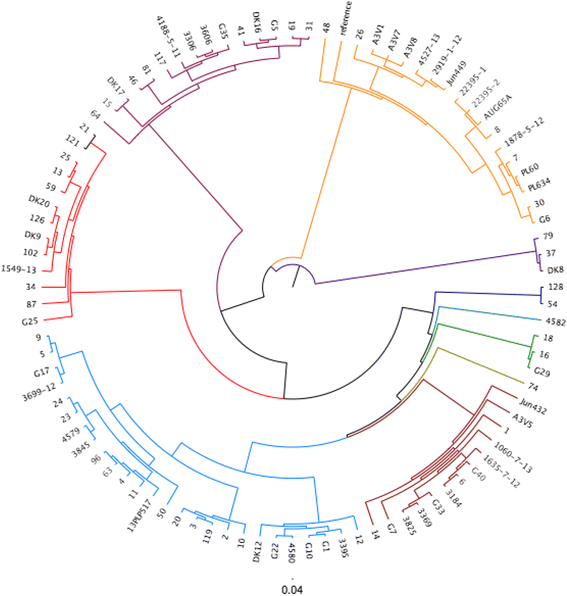 Fig. 1