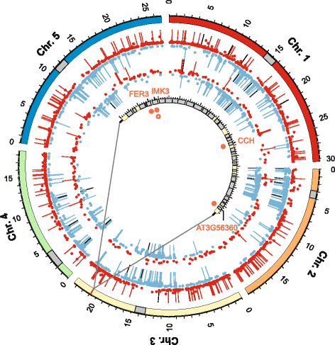 Fig. 7