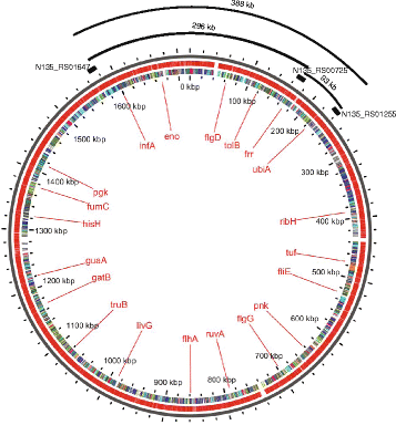 Fig. 5