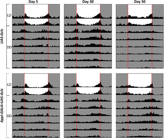 Fig. 12