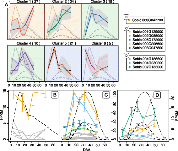 Fig. 10