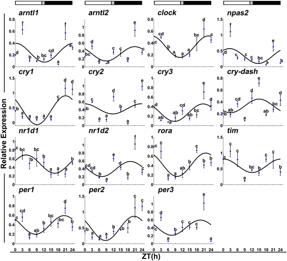 Fig. 4