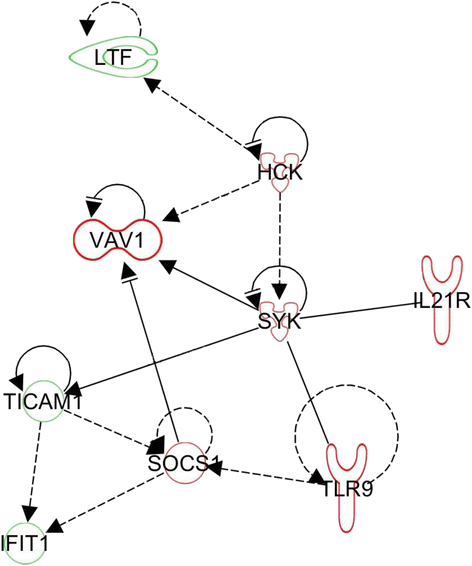 Fig. 5