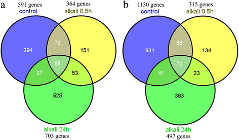 transcriptome profiling reveals the