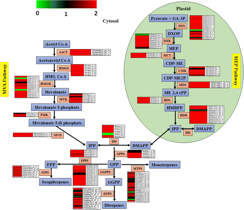 Fig. 4