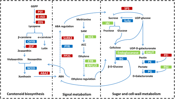 Fig. 10