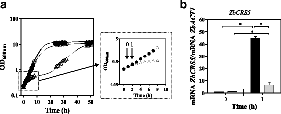 Fig. 11