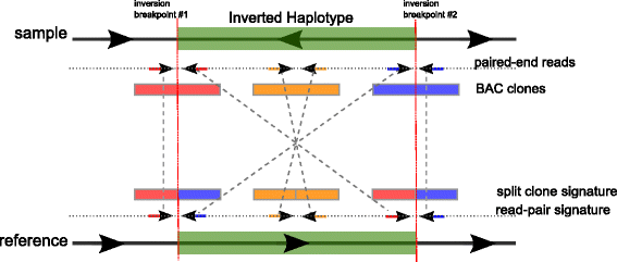 Fig. 1