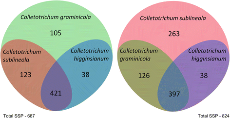 Fig. 13