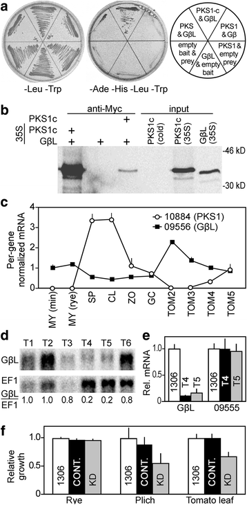 Fig. 10