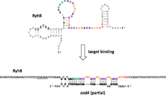 Fig. 6