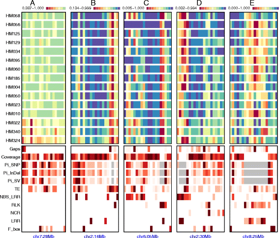 Fig. 2