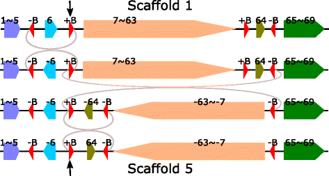 Fig. 4