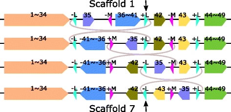 Fig. 7