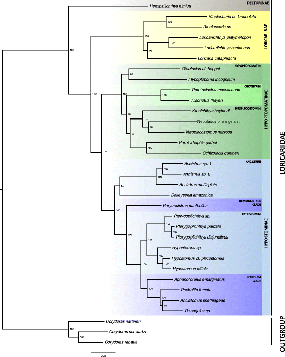 Fig. 3