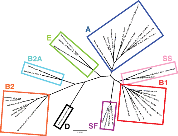 Fig. 4