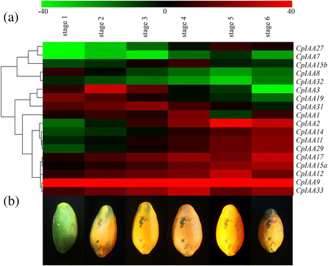 Fig. 6