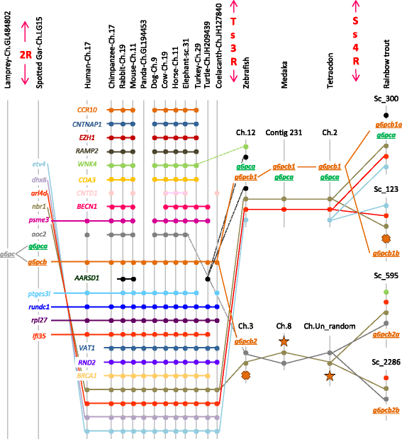 Fig. 2