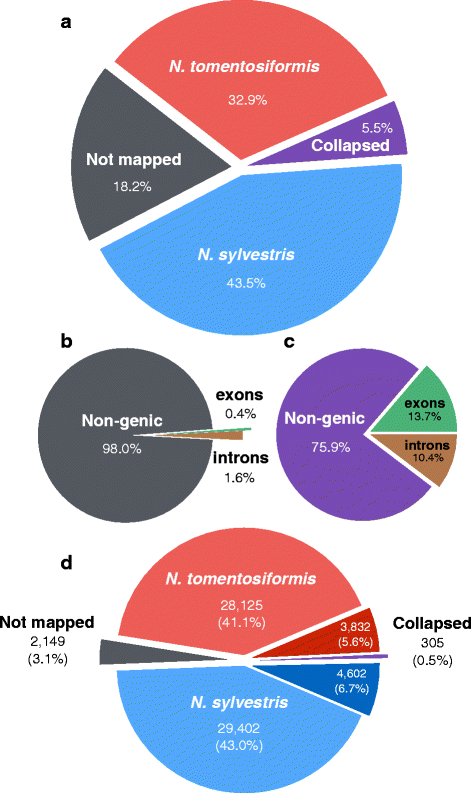 Cloning Pie Chart