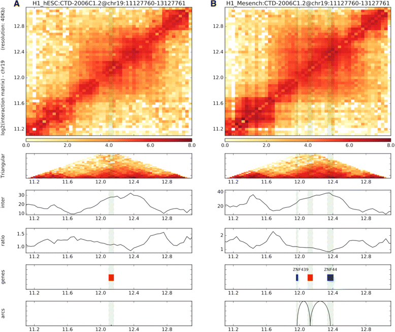 Fig. 12