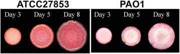 Fig. 6