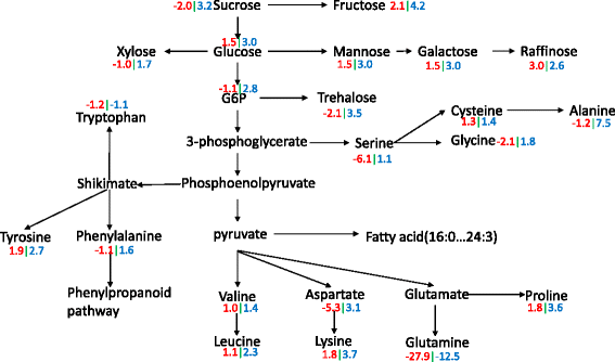 Fig. 8