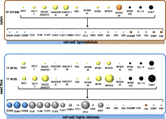 Fig. 10