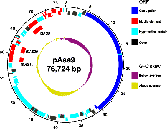 Fig. 2