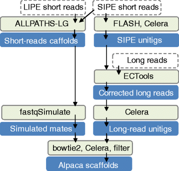 Fig. 2