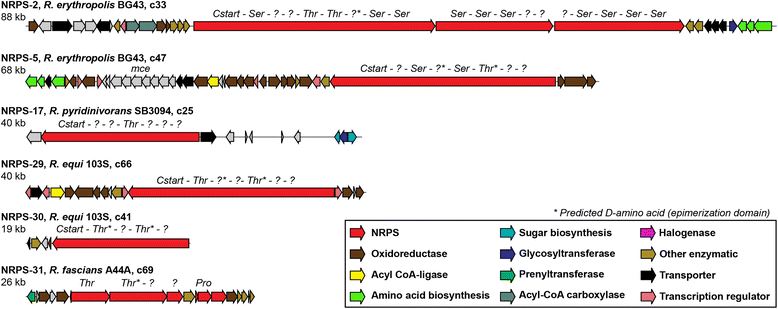 Fig. 4