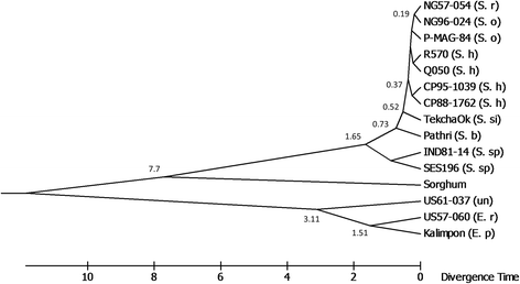 Fig. 5