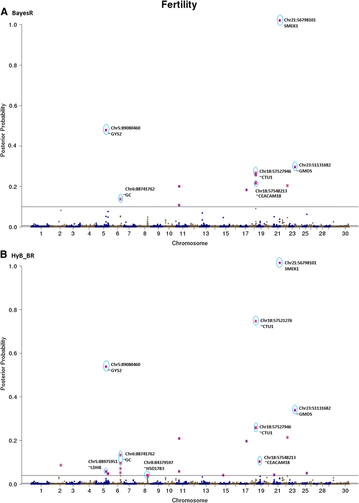 Fig. 8