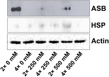 Fig. 12