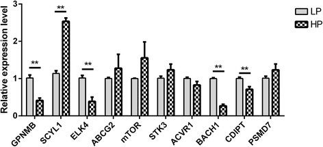 Fig. 9