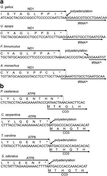 Fig. 5