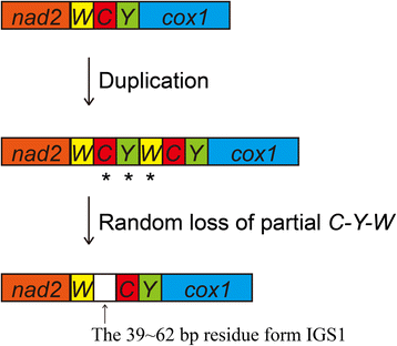 Fig. 8