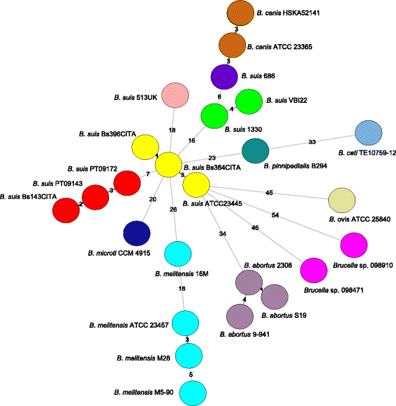 Fig. 2