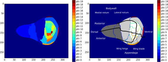 Fig. 1