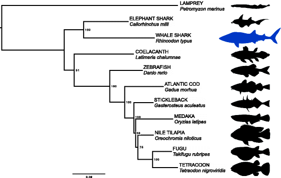 Fig. 5