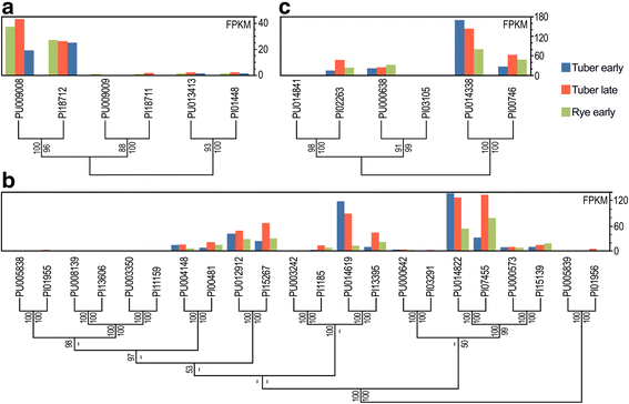 Fig. 12