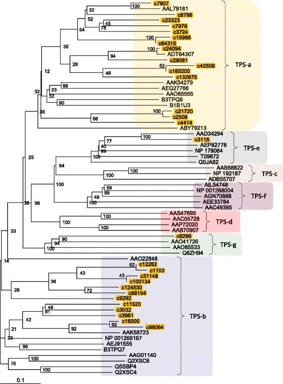 Fig. 9