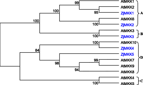 Fig. 6