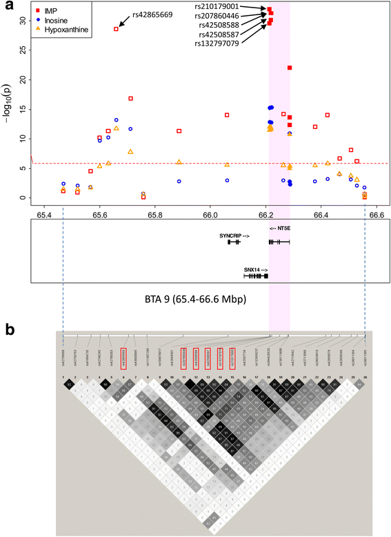 Fig. 3