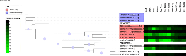 Fig. 10