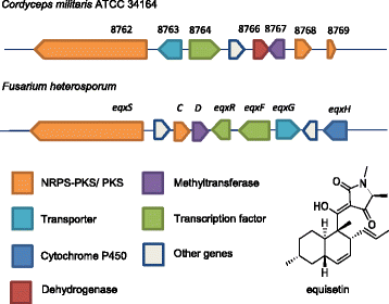 Fig. 6