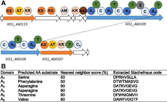 Fig. 7