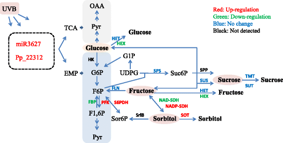 Fig. 9