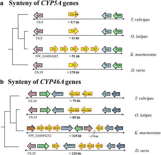 Fig. 6